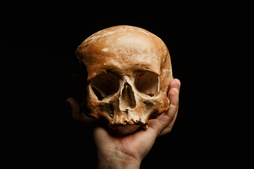 Hand holding skull on black background