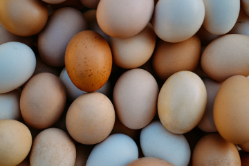 Top down view of lots of eggs