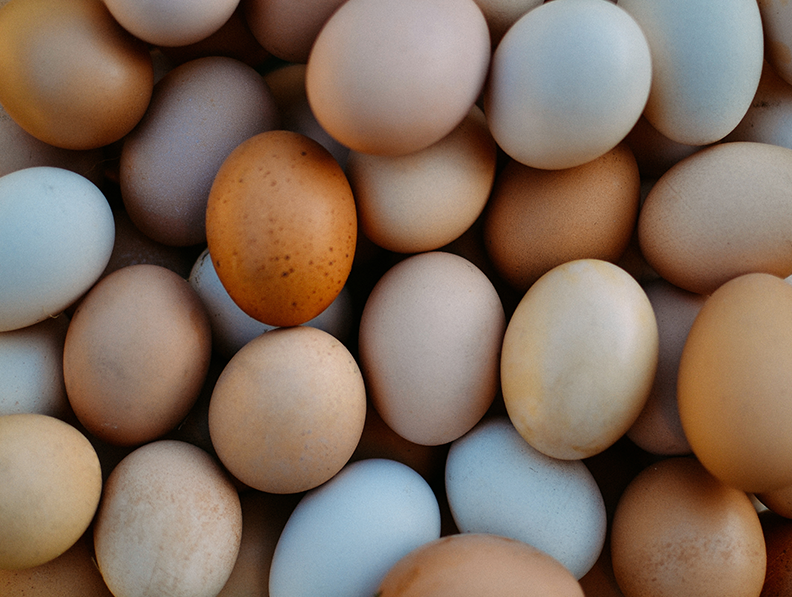 Top down view of lots of eggs